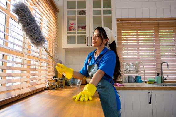 Happy woman cleaning house, Housekeeping and cleaning service, People doing housework at home. High quality photo